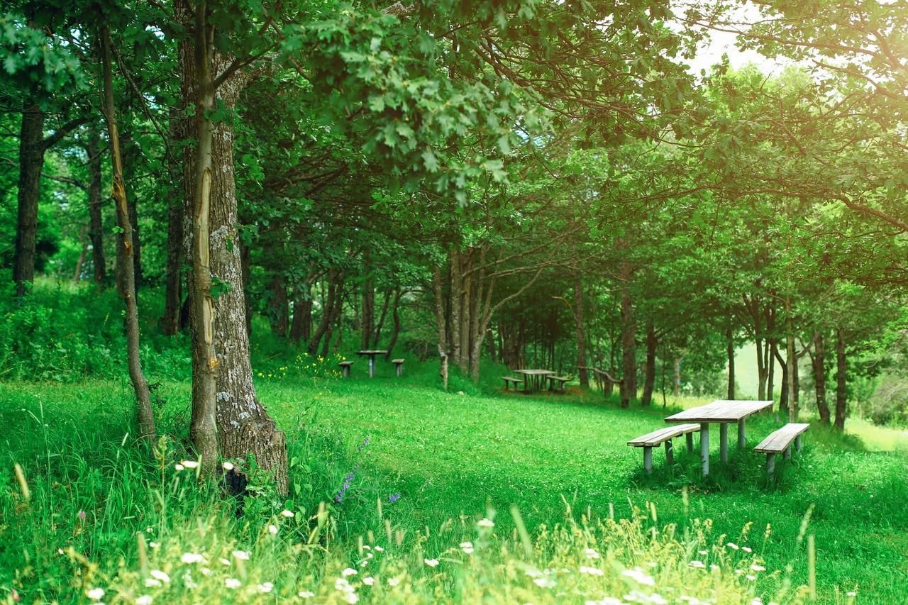 Ani Resort Artavaz Екстер'єр фото